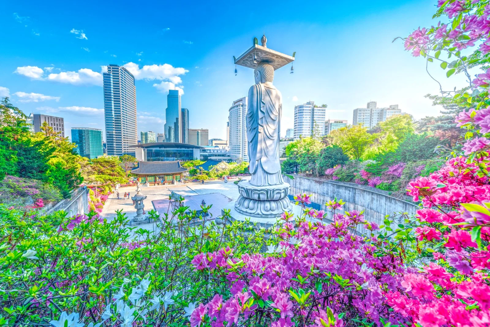 Seoul - Gyeongju - immagine 1 di 2