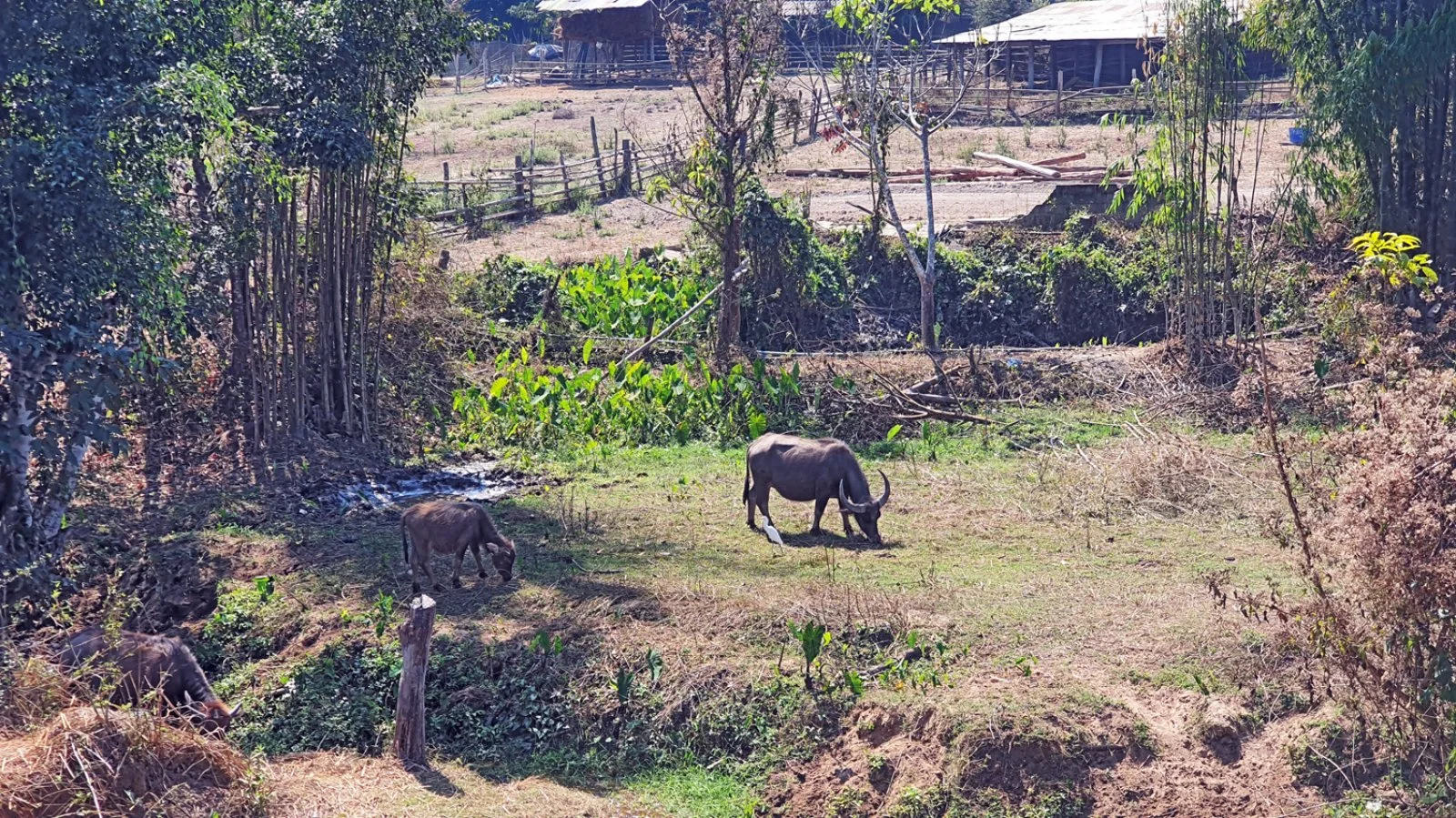 Chiang Rai - Italia - immagine 4 di 4