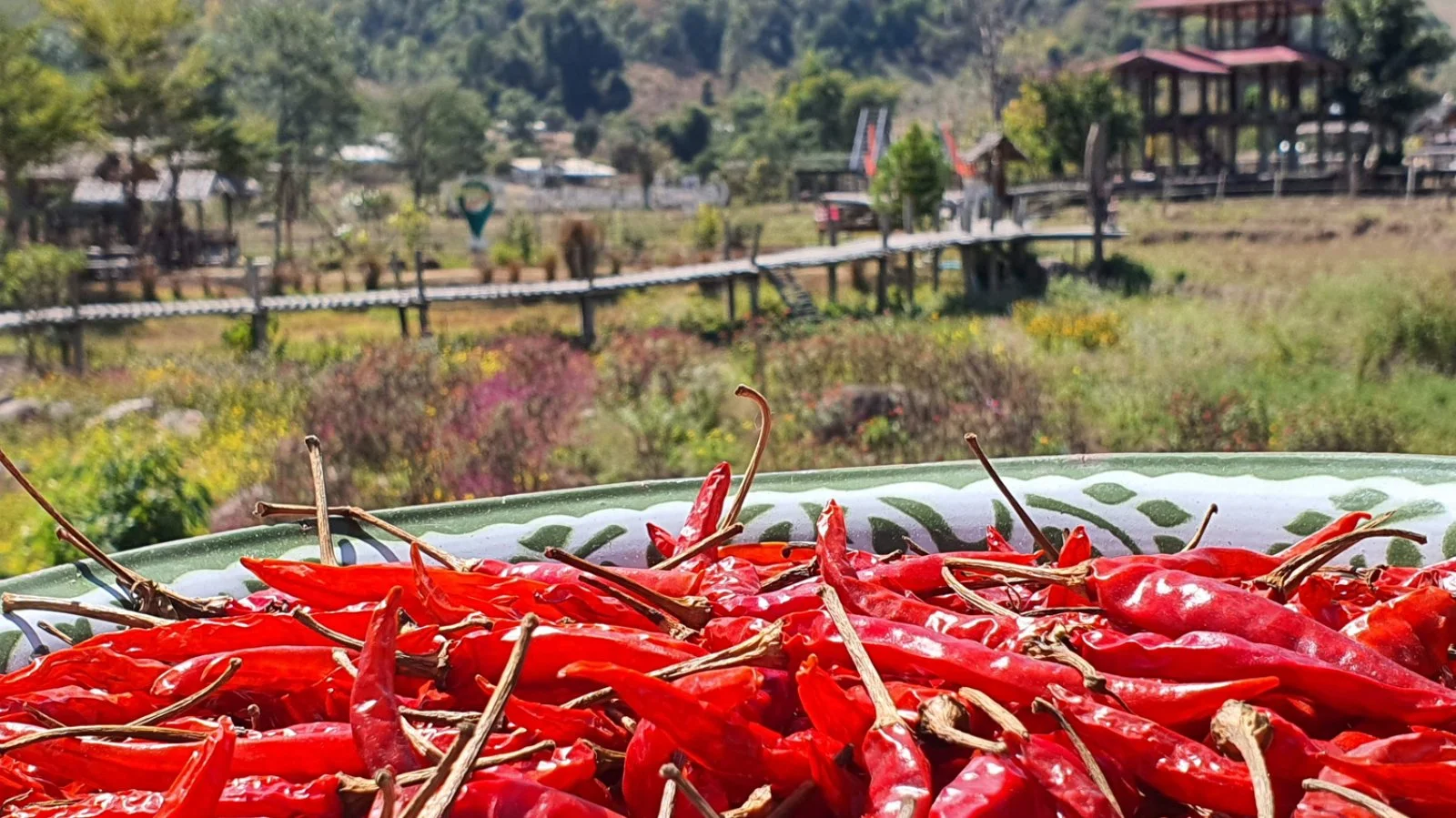 Chiang Rai - Italia - immagine 2 di 4