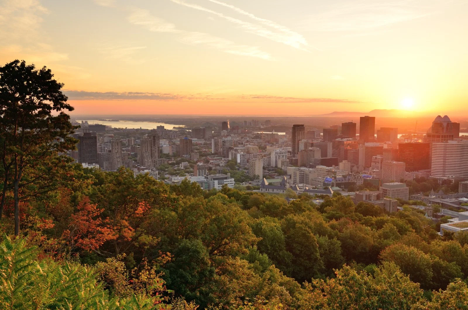 Montréal - immagine 3 di 3