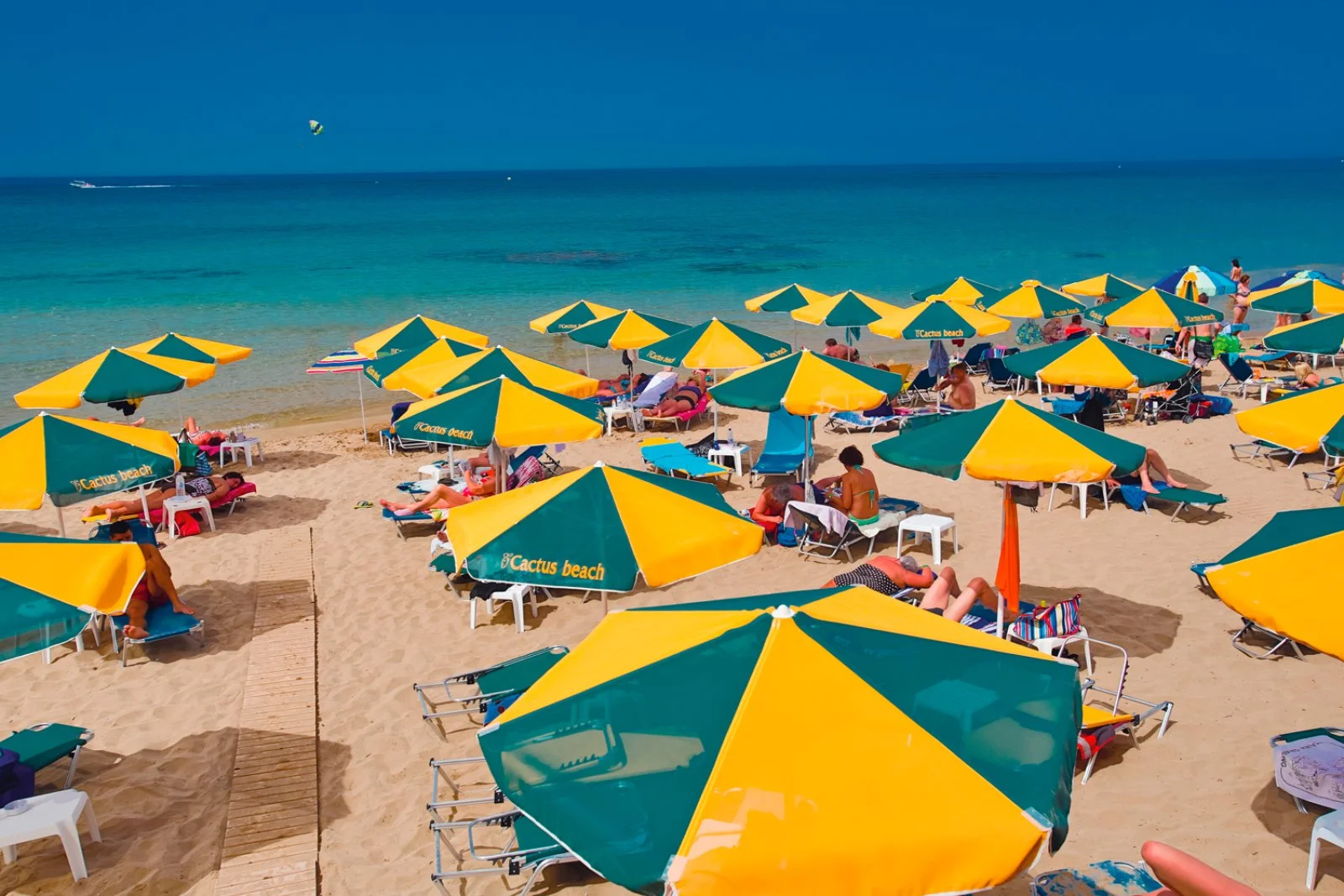 ALPISELECT CACTUS BEACH – Stalida