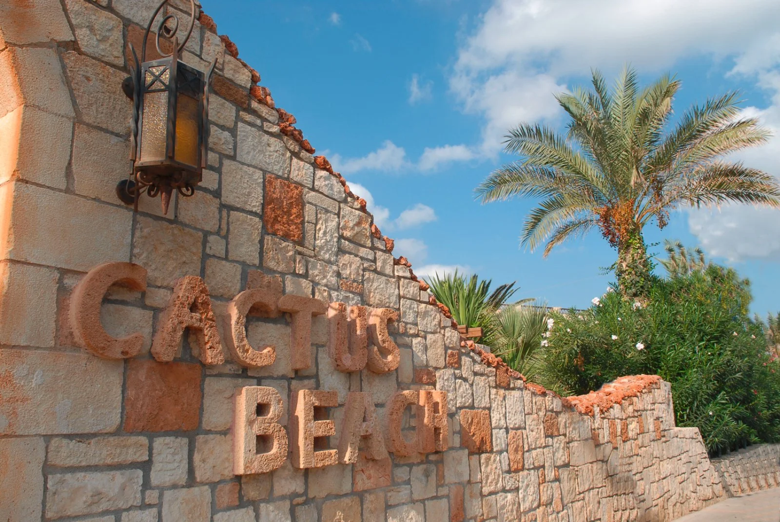 ALPISELECT CACTUS BEACH – Stalida