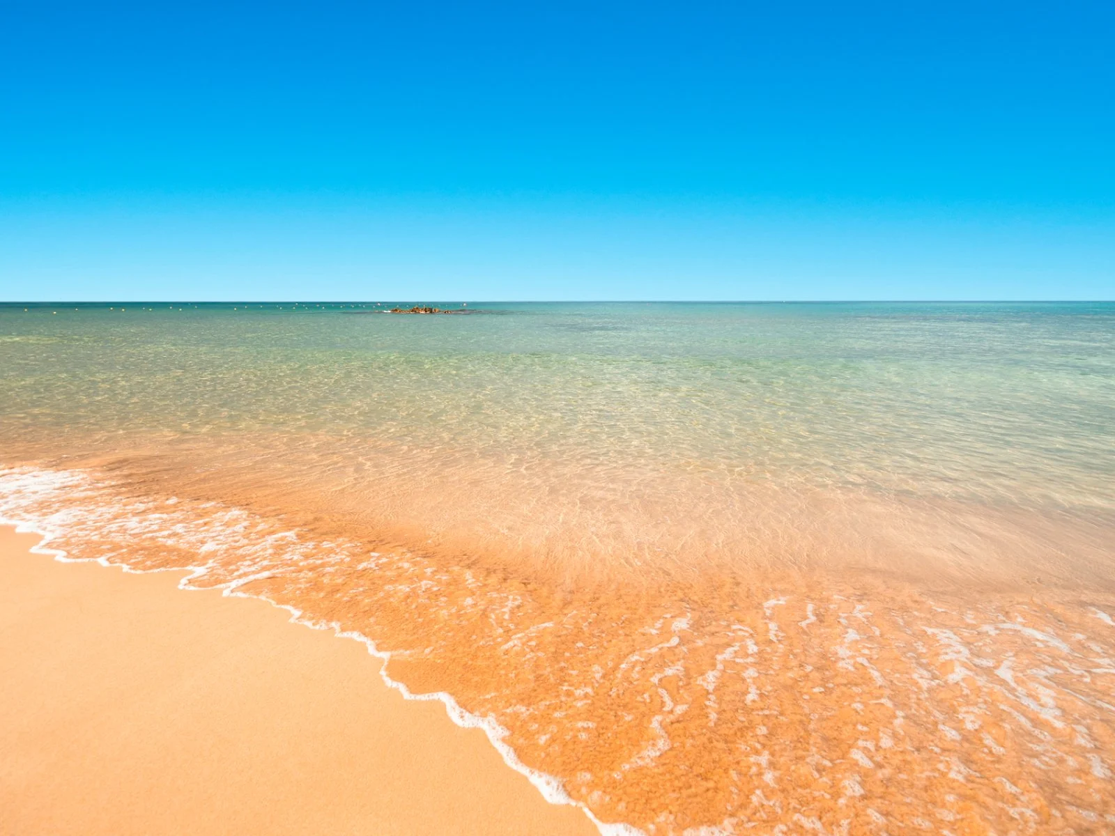 ALPISELECT CACTUS BEACH – Stalida
