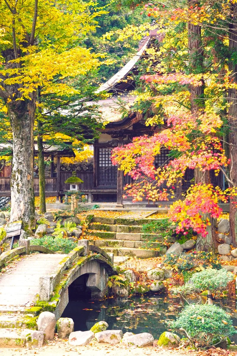 Tokyo - Takayama - immagine 2 di 2