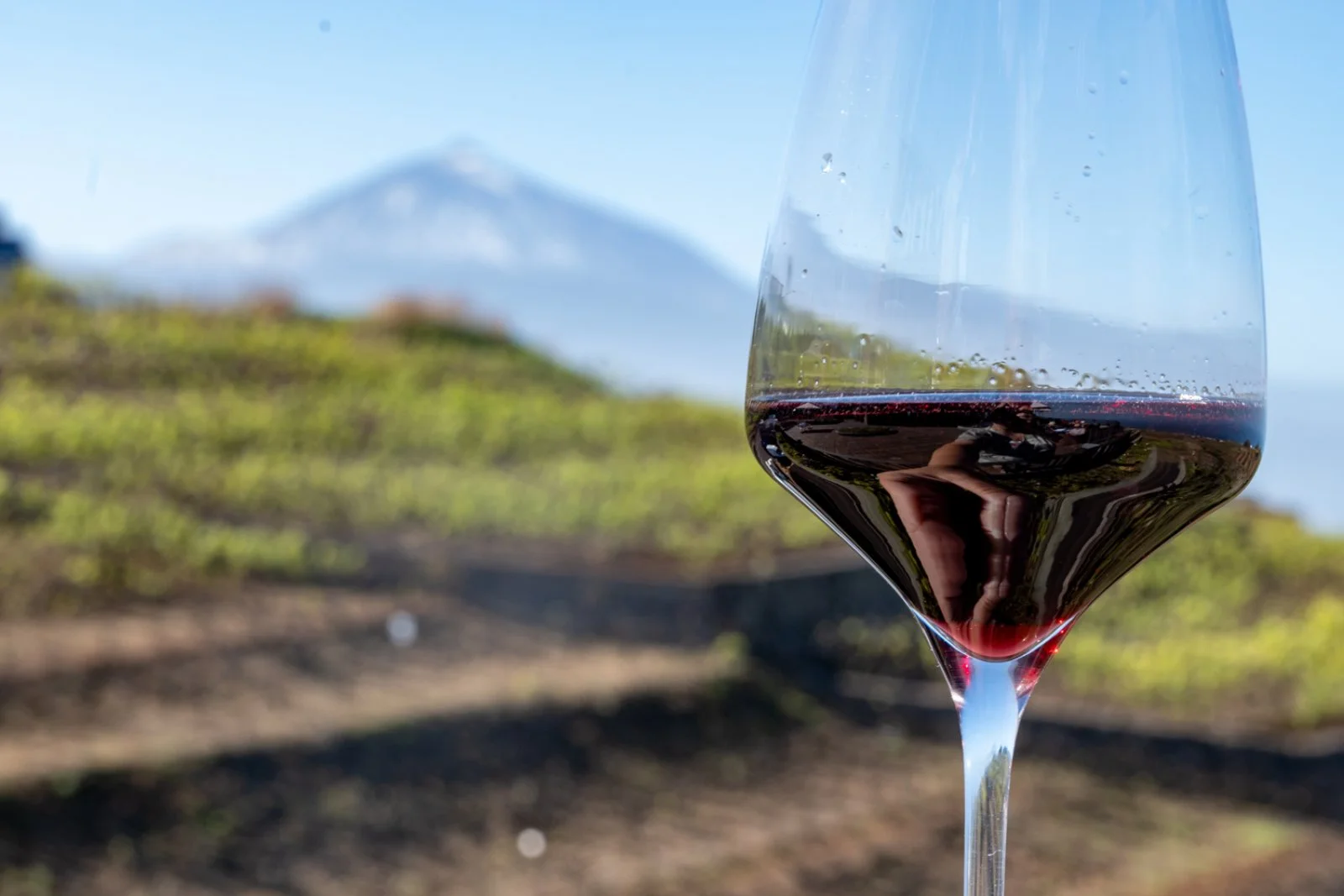 Bodegas Monje - Il carattere di Tenerife in un calice