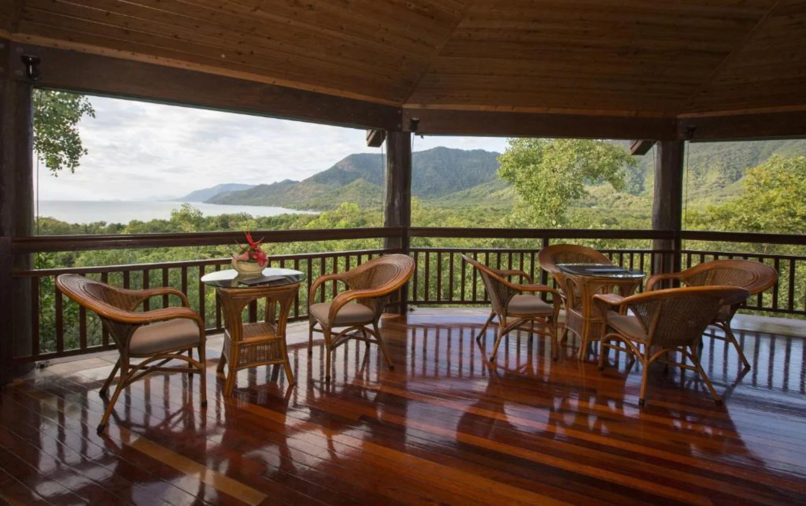 Foresta Pluviale - Port Douglas - immagine 3 di 3