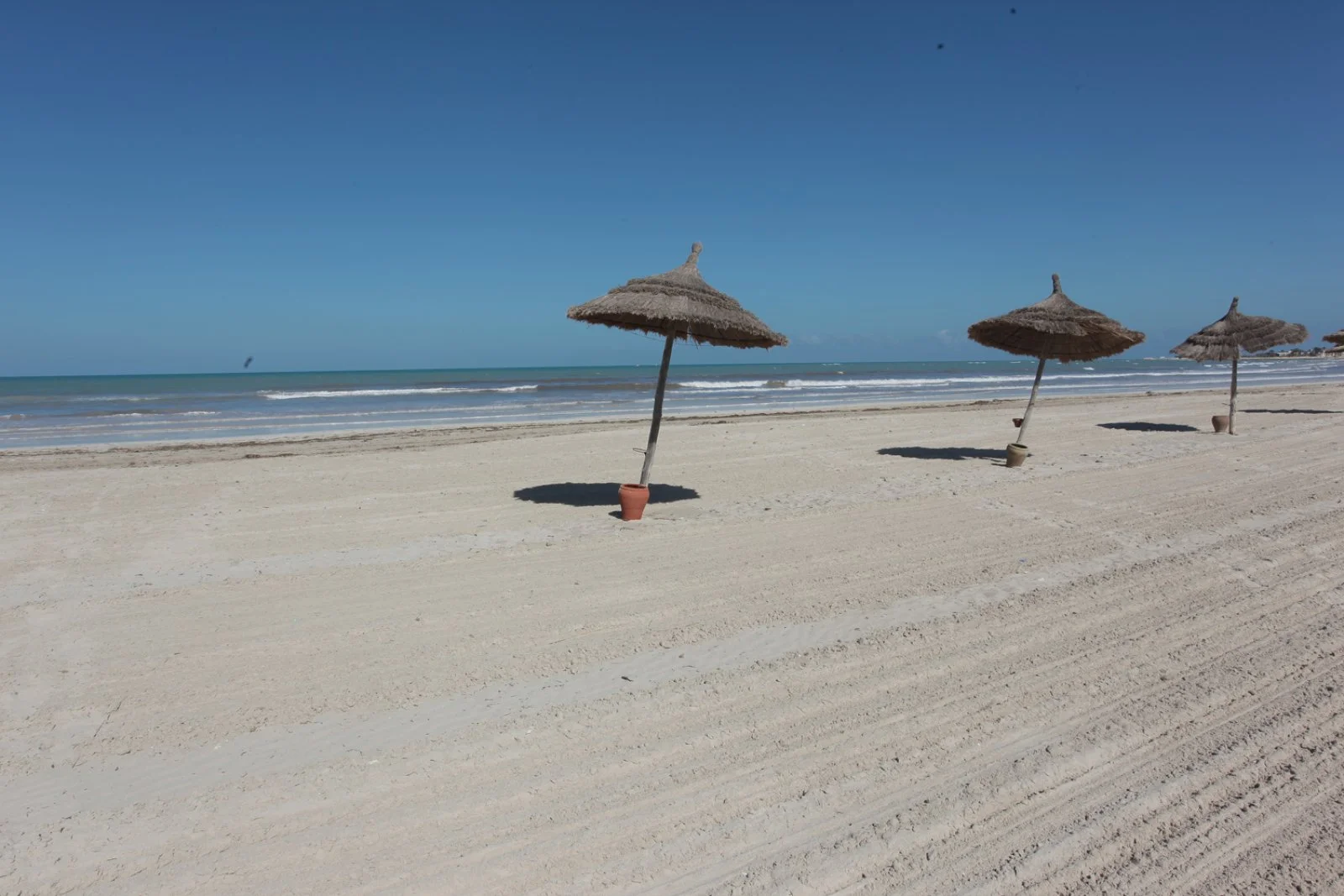 VENICE BEACH – Medenina